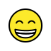 :grin: